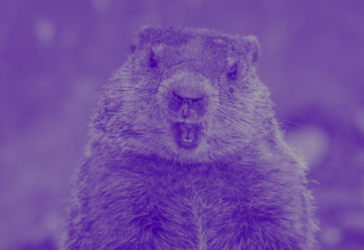 Image of a groundhog with it's mouth open, looking surprised.